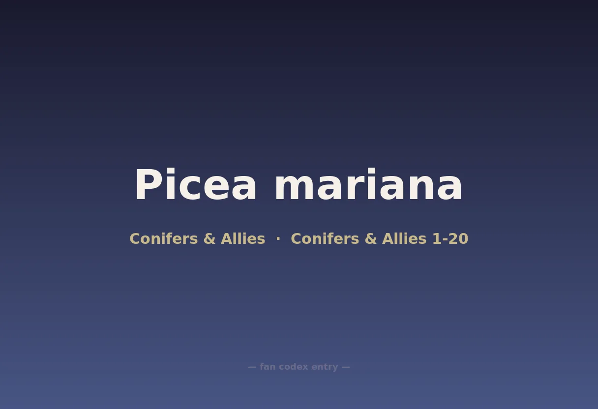 Picea mariana