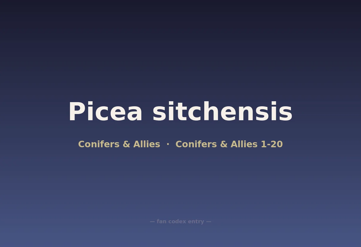 Picea sitchensis