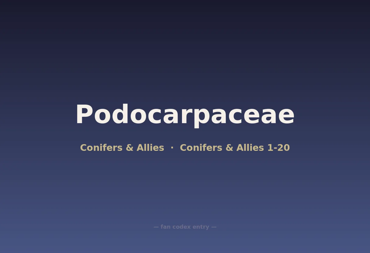 Podocarpaceae
