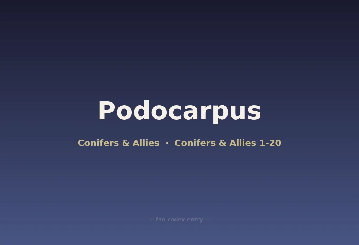 Podocarpus